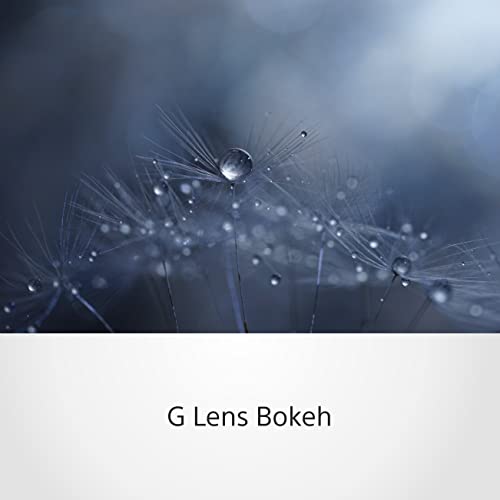 sony-fe-90mm-f-2-8-g-vollformat-makroobjektiv-medium-tele-optische-stabilisierun image 8