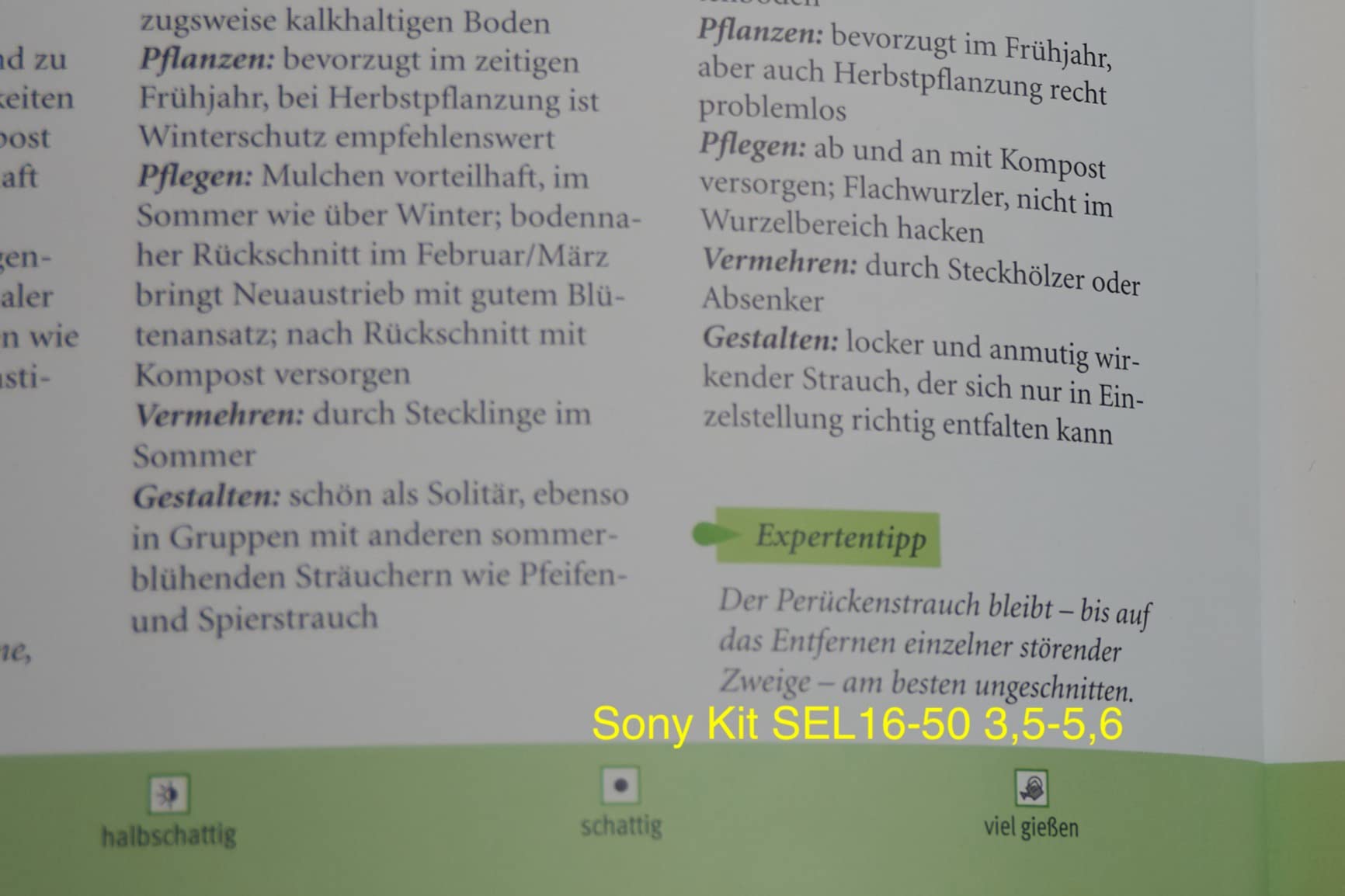 Perfekt