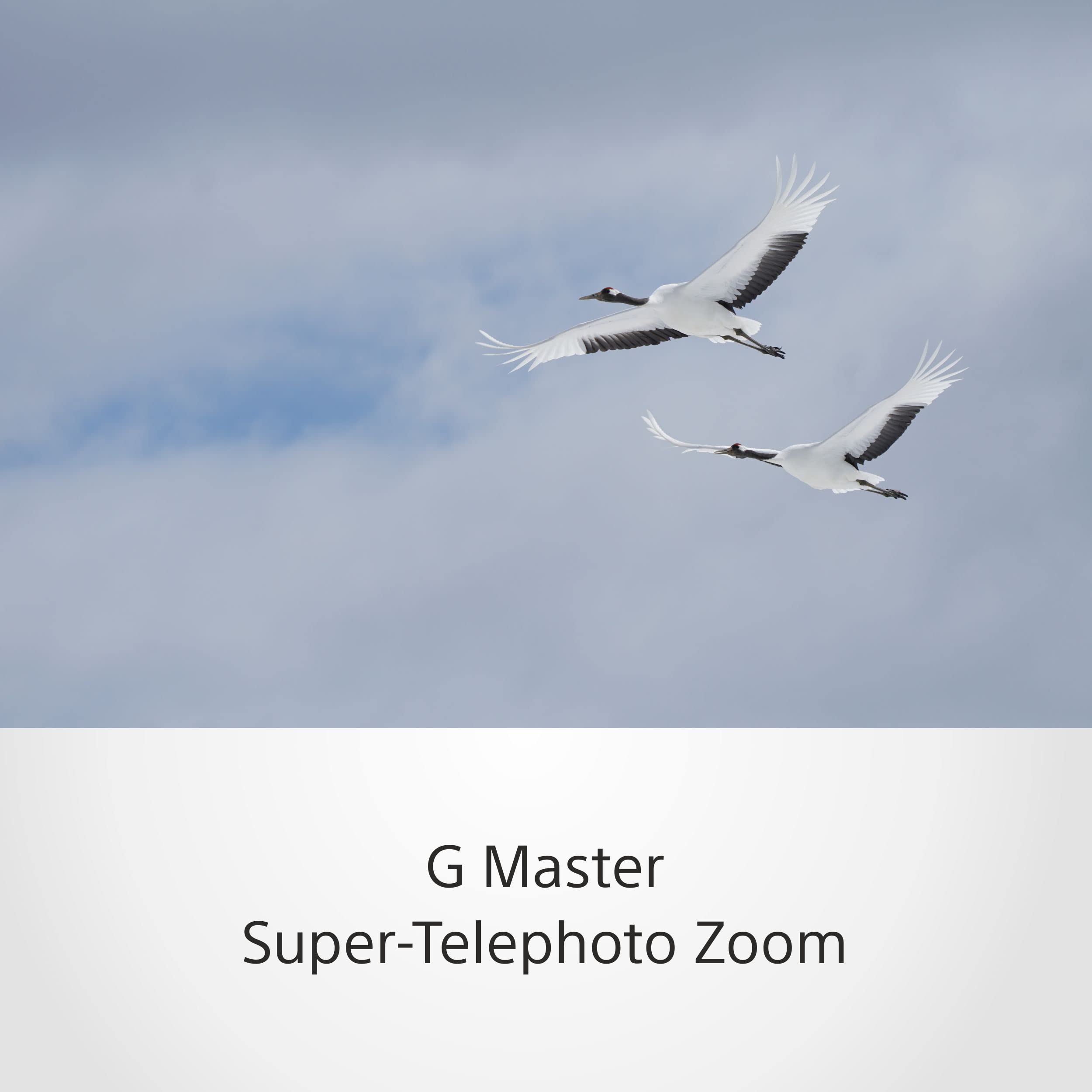 sony-100-400mm-f4-5-5-6-g-master-supertele-zoom-f-r-vollformat-aps-c-sel100400gm image 5