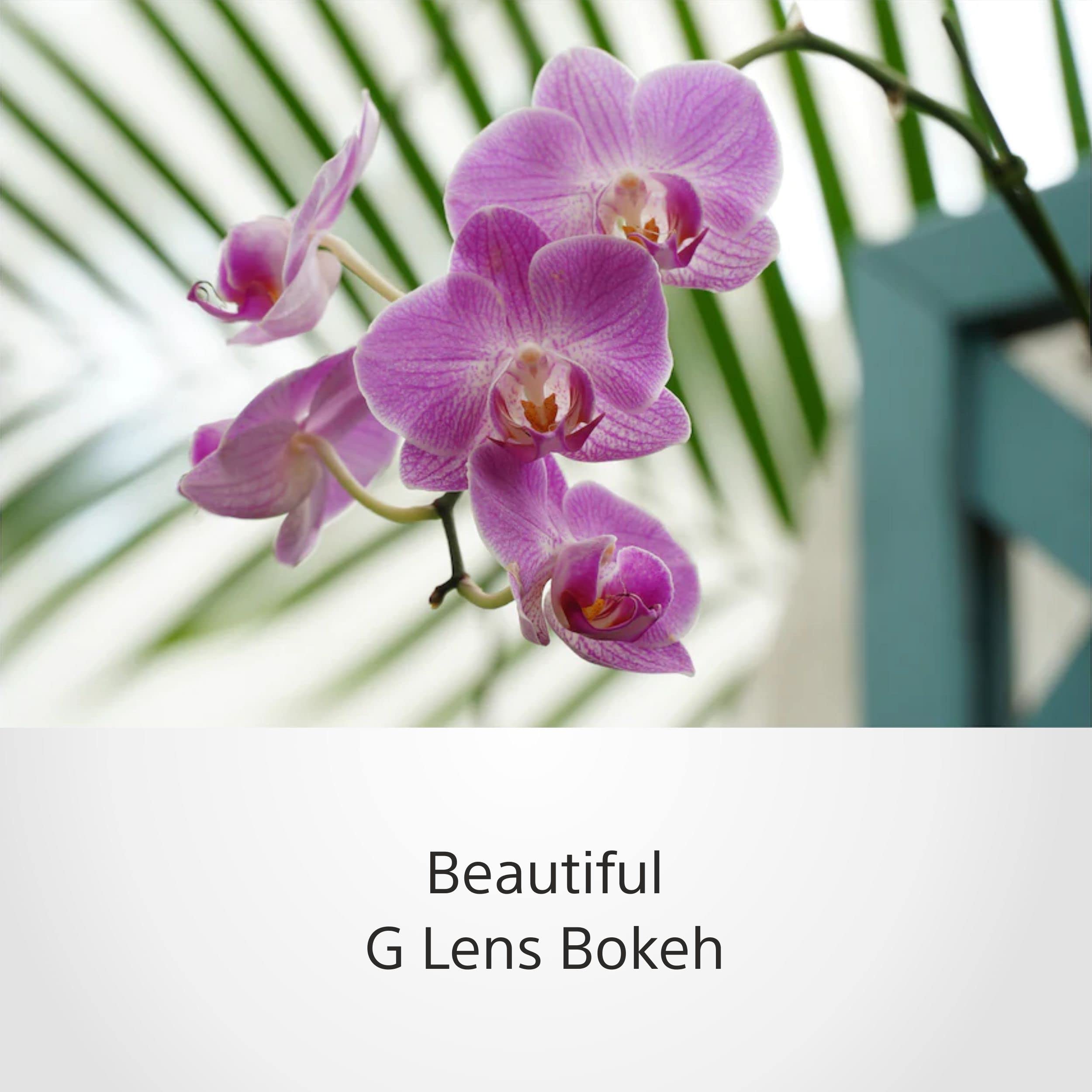 sony-selp18105g-18-105mm-f4-g-oss-powerzoom-objektiv-f-r-sony-e-mount image 4