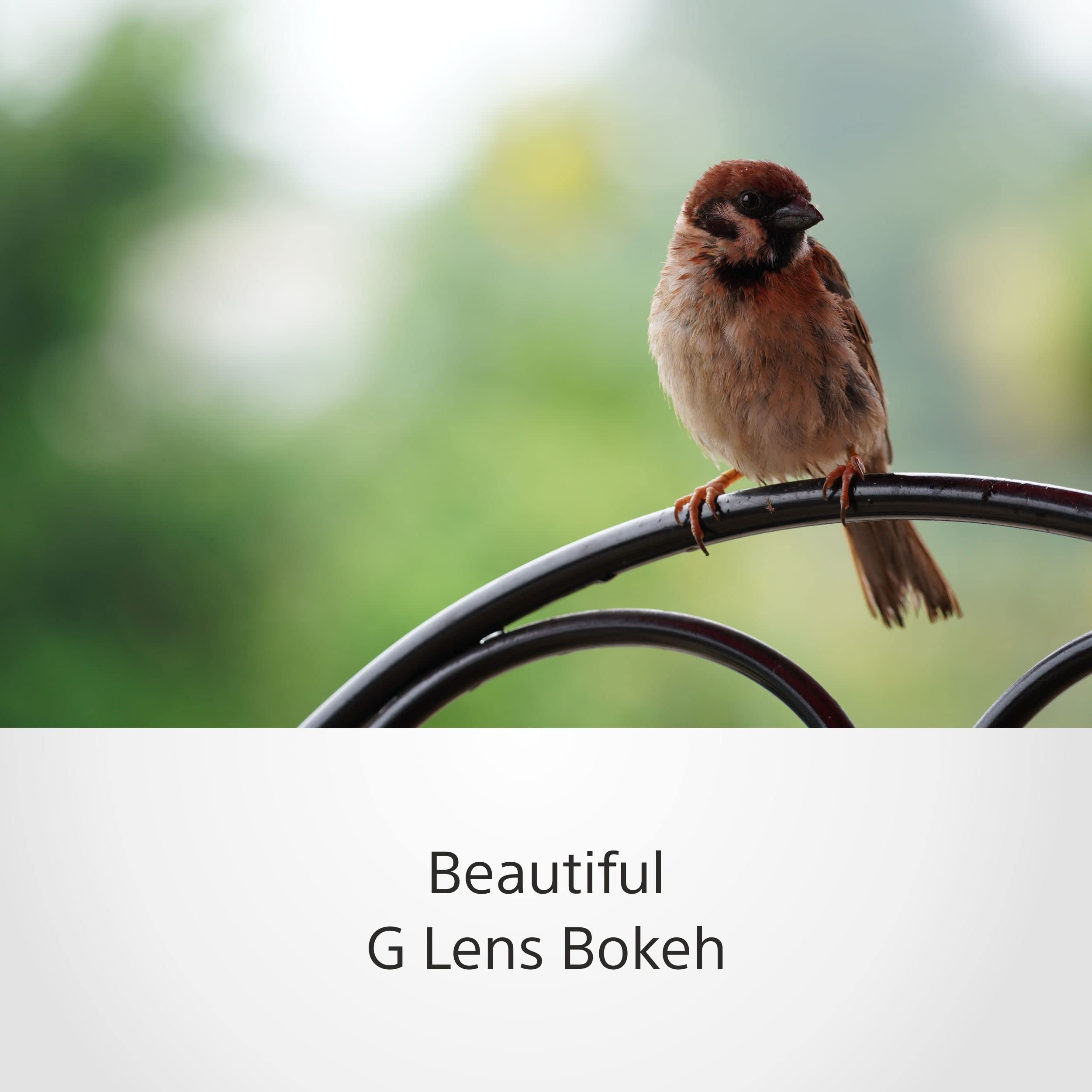 sony-sel70350g-70-350mm-f4-5-6-3-g-oss-supertele-zoom-objektiv-f-r-aps-c-e-mount image 3