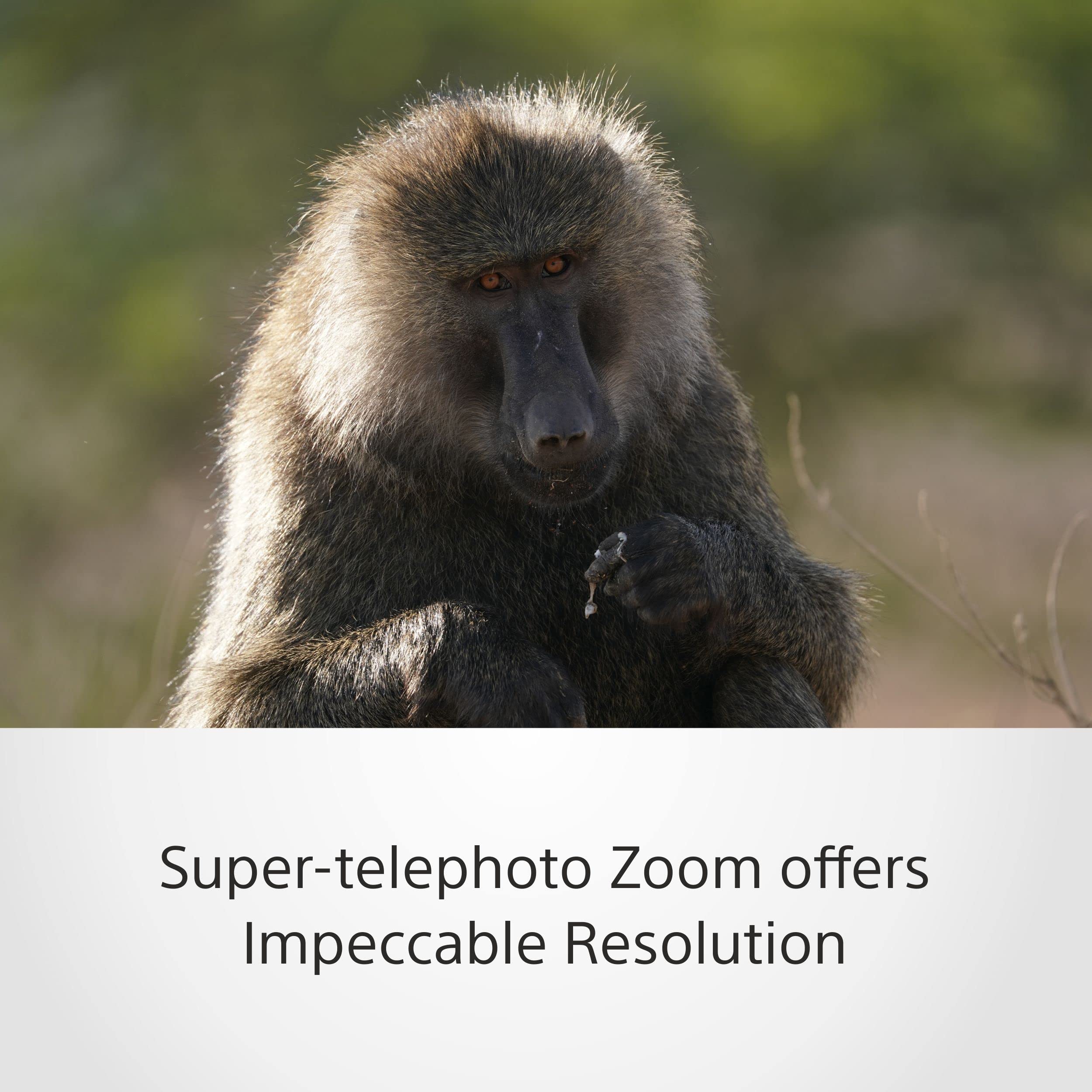 sony-sel200600g-200-600mm-f5-6-6-3-g-telezoom-objektiv-f-r-e-mount-vollformat-ap image 3