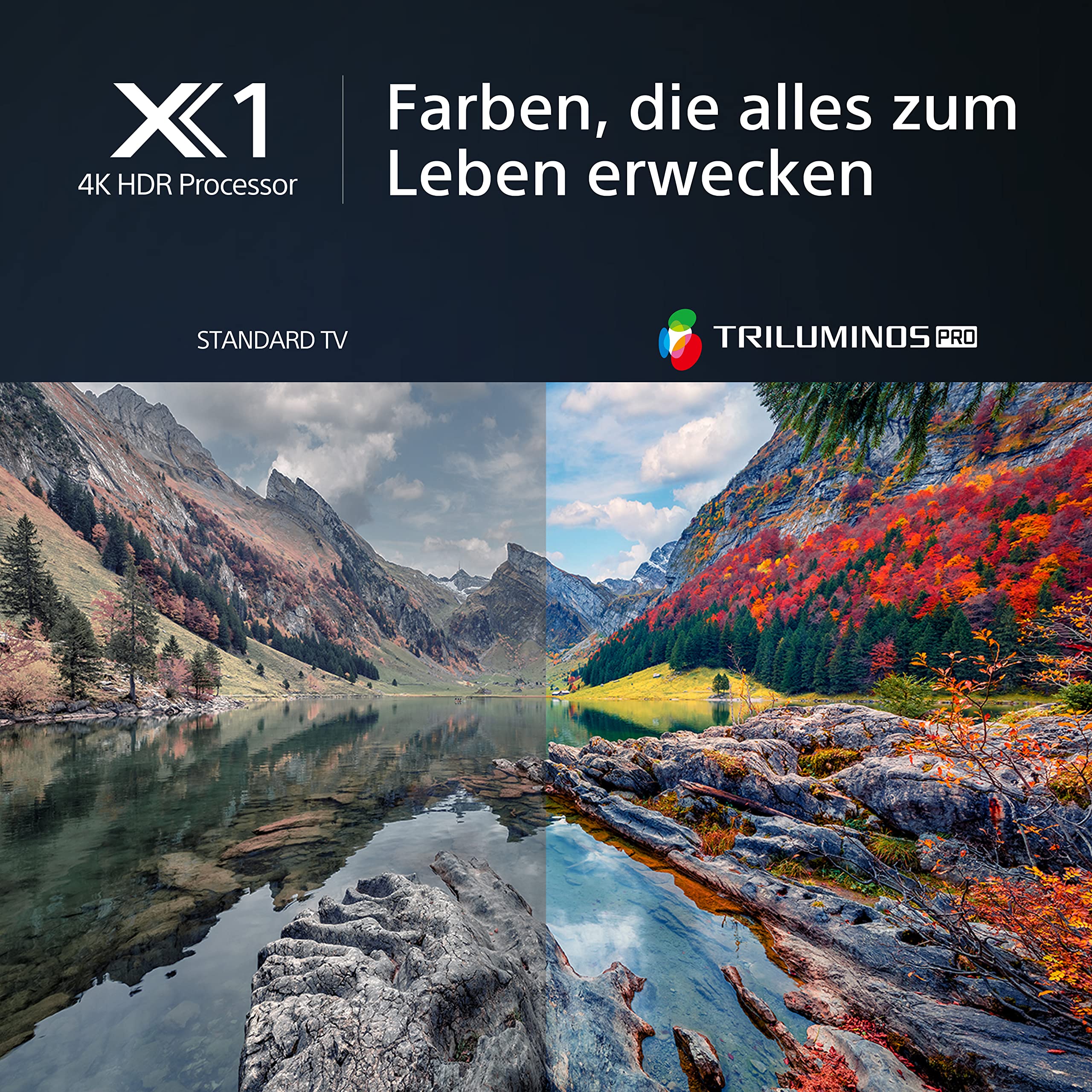 sony-bravia-kd-43x80l-43-zoll-led-fernseher-mit-4k-hdr-google-tv-triluminos-pro- image 2